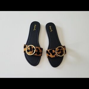 Female Shoes